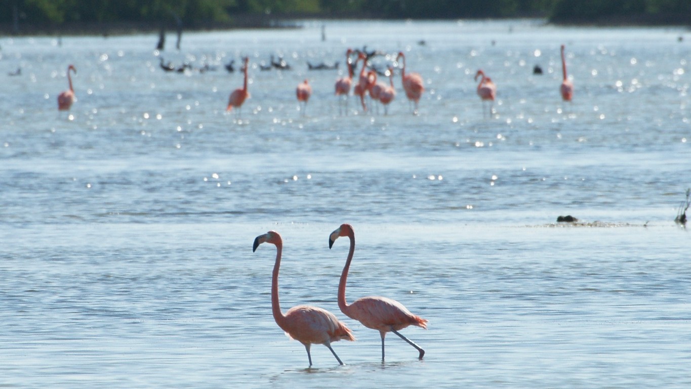 /ecran/Cuba_2013_0944.jpg