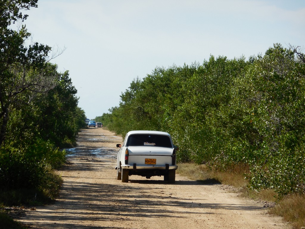 /ecran/Cuba_2013_0945.jpg