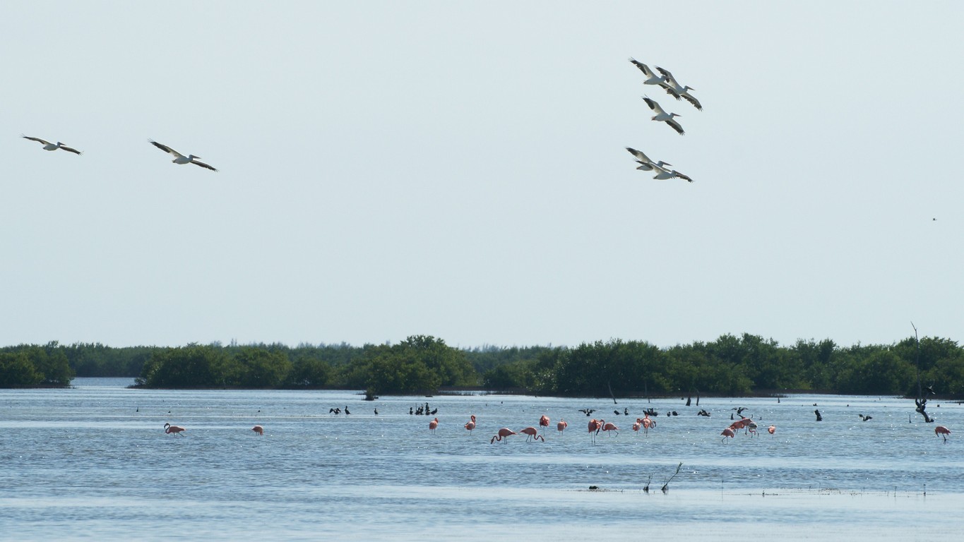 /ecran/Cuba_2013_0946.jpg