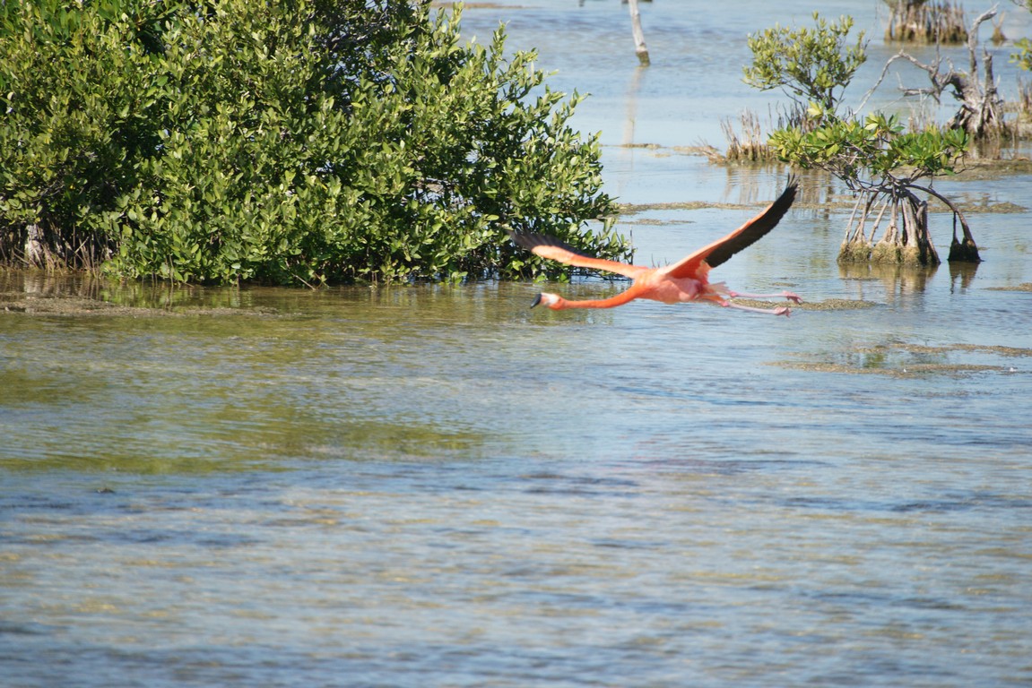 /ecran/Cuba_2013_0960.jpg