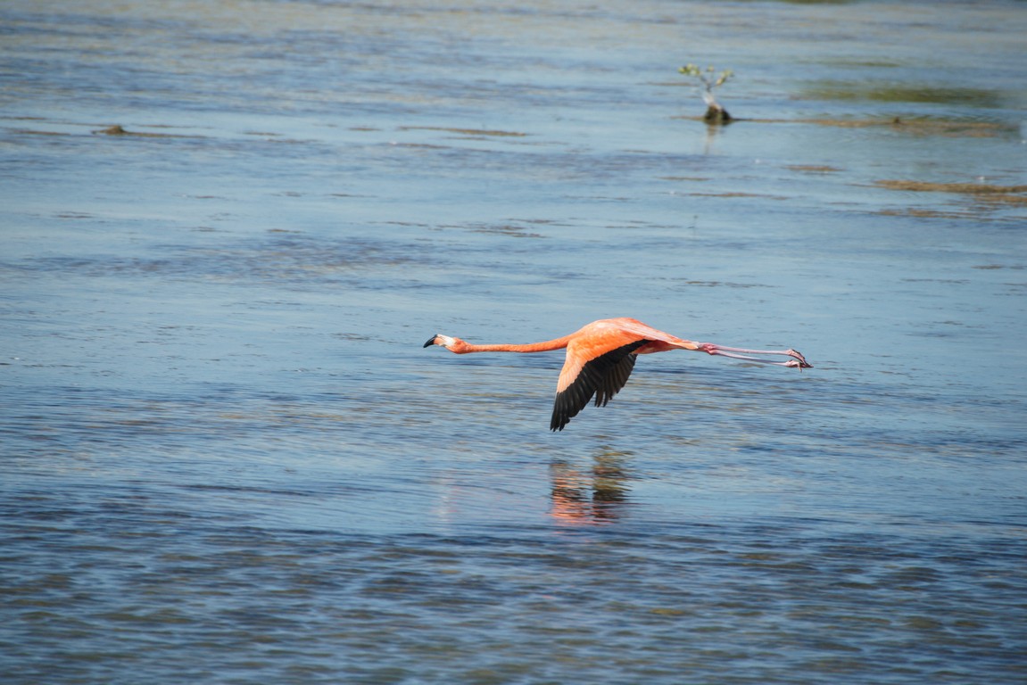 /ecran/Cuba_2013_0965.jpg