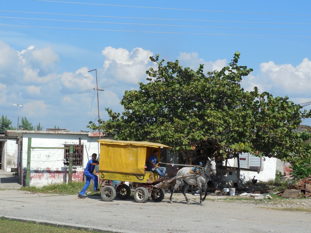 /ecran/Cuba_2013_1090.jpg