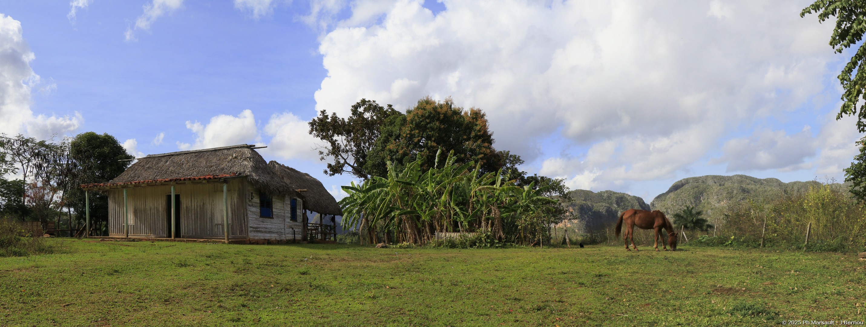 /ecran/2025_Cuba3_0139.jpg