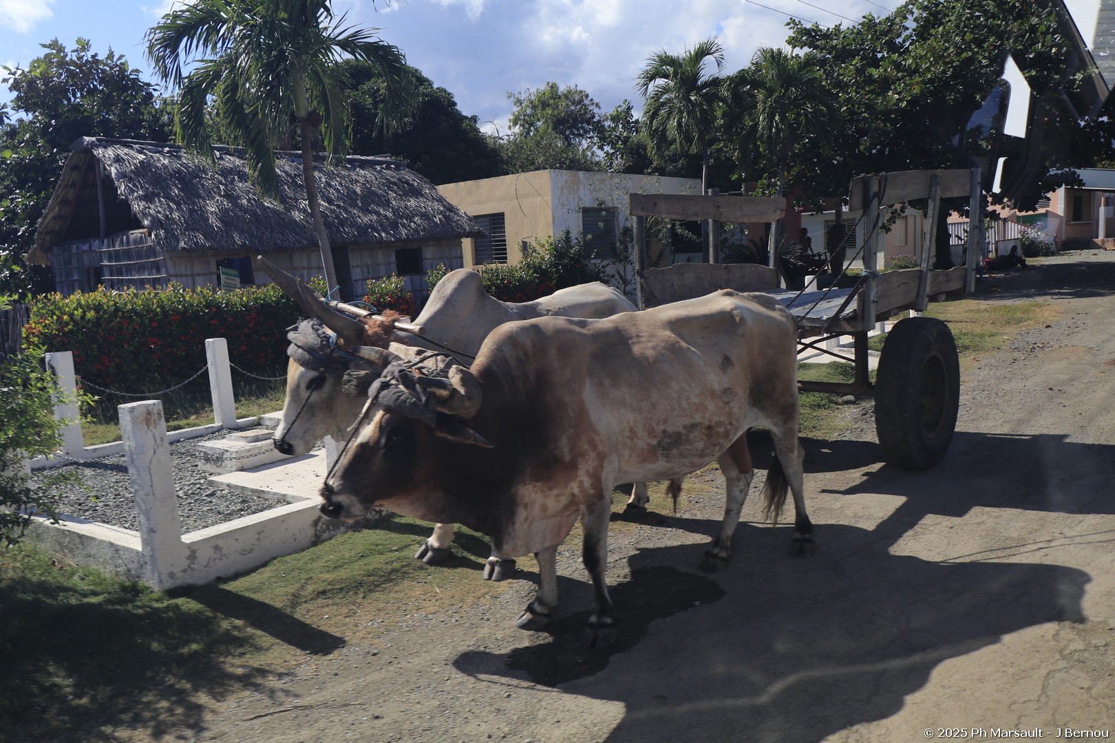 /ecran/2025_Cuba3_0848.jpg