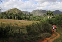vignette 2025_Cuba3_0117.jpg 