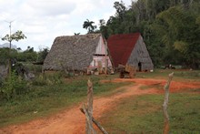 vignette 2025_Cuba3_0118.jpg 