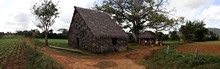 vignette 2025_Cuba3_0124.jpg 