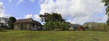 vignette 2025_Cuba3_0139.jpg 