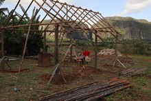 vignette 2025_Cuba3_0147.jpg 