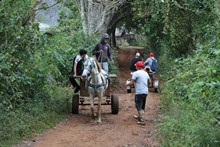 vignette 2025_Cuba3_0217.jpg 