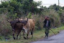 vignette 2025_Cuba3_0231.jpg 