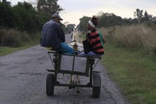 vignette 2025_Cuba3_0234.jpg 