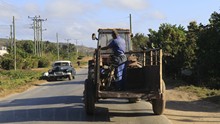 vignette 2025_Cuba3_0507.jpg 