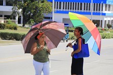 vignette 2025_Cuba3_0836.jpg 