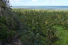 vignette 2025_Cuba3_0915.jpg 