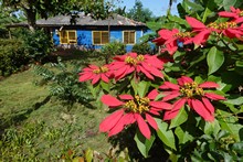 vignette 2025_Cuba3_0929.jpg 