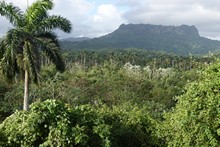 vignette 2025_Cuba3_1003.jpg 