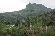 vignette 2025_Cuba3_1008.jpg 