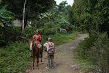 vignette 2025_Cuba3_1012.jpg 