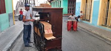 vignette 2025_Cuba3_1109.jpg 