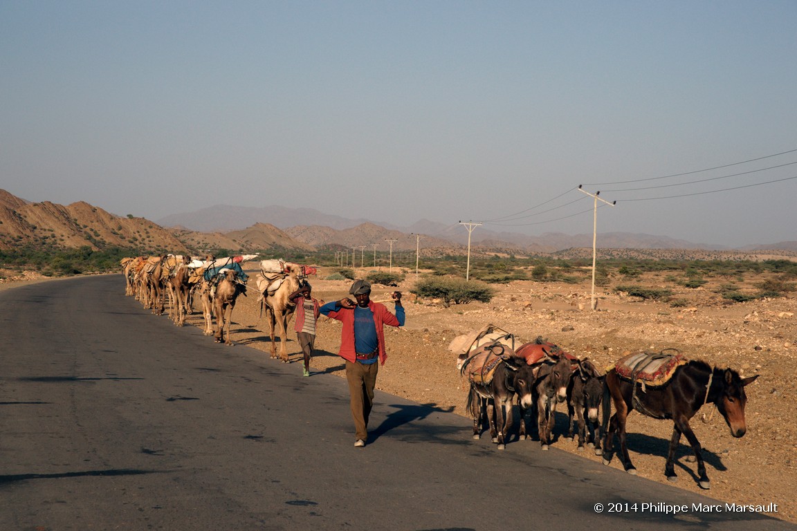 /ecran/Ethiopie_2014_0505.jpg