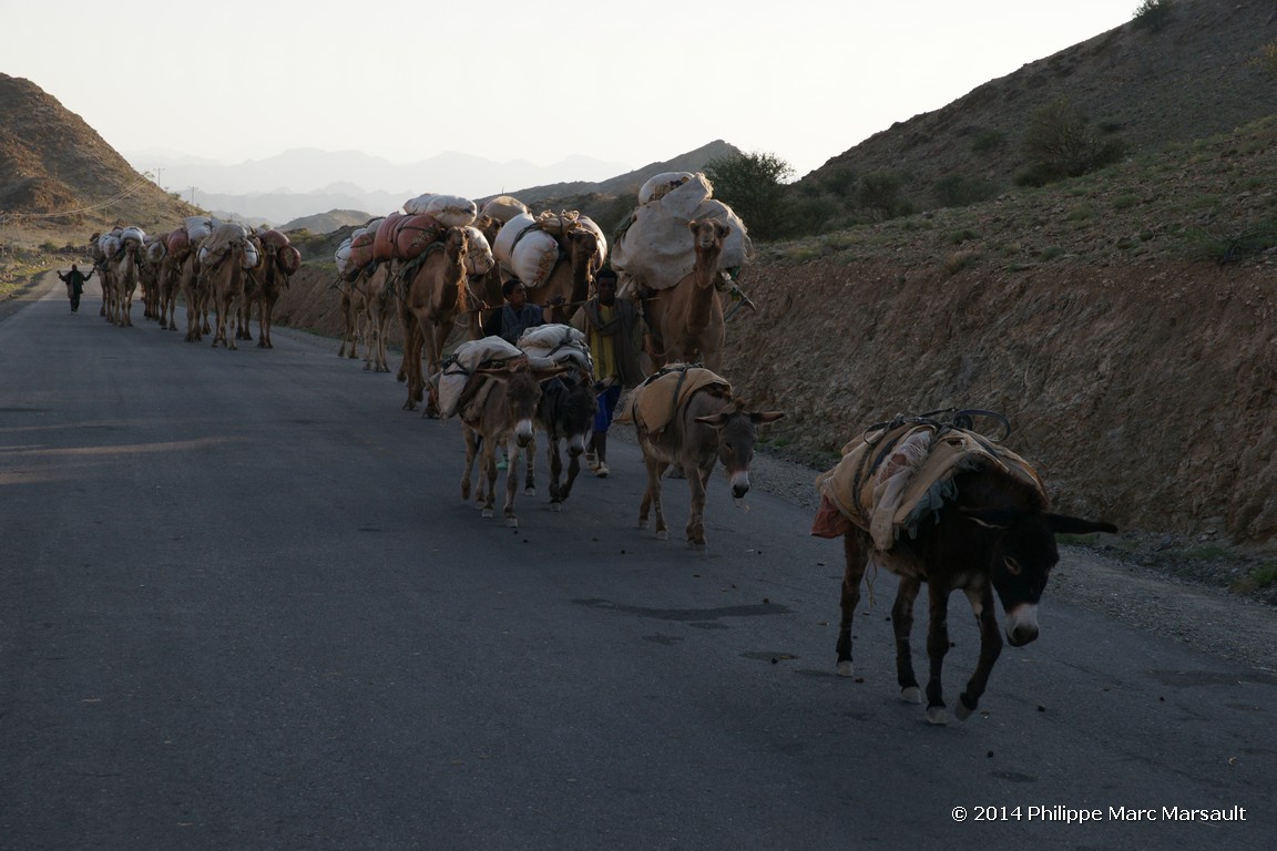 /ecran/Ethiopie_2014_0520.jpg