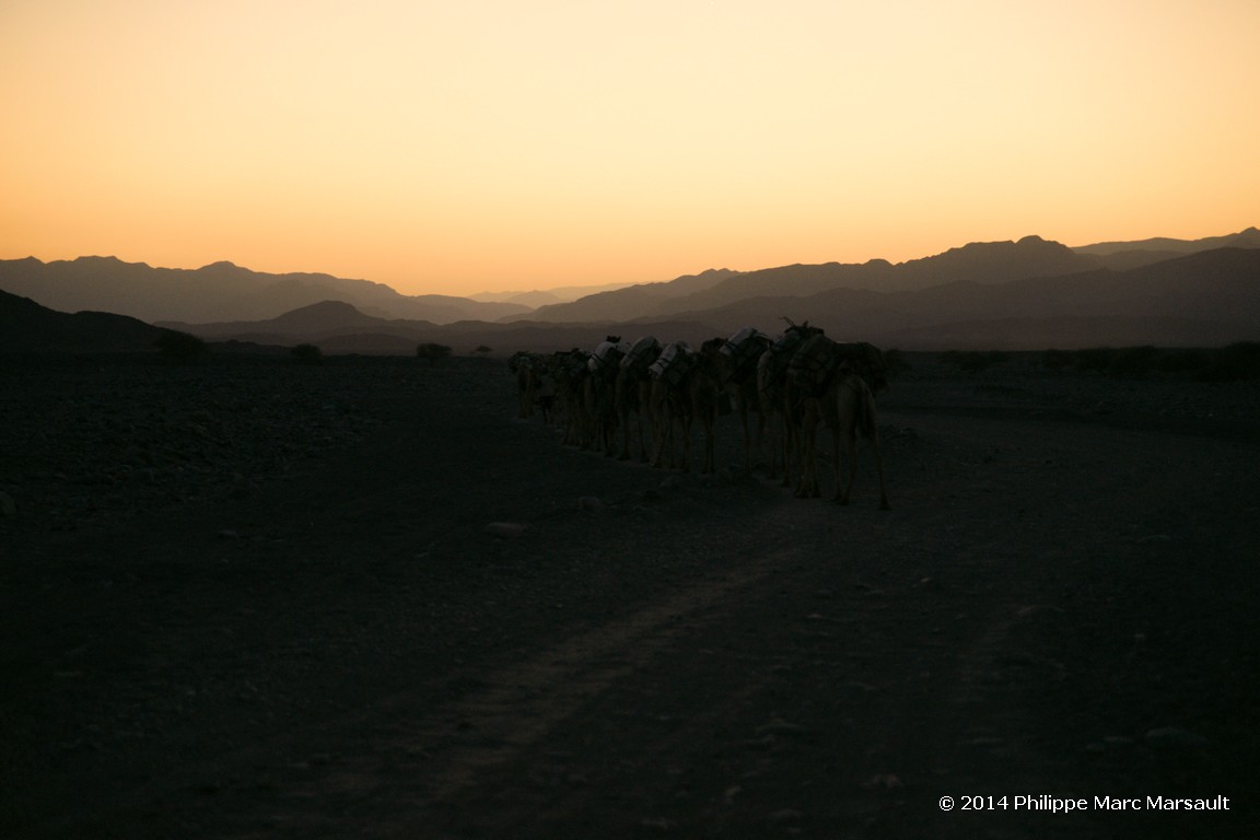 /ecran/Ethiopie_2014_0535.jpg
