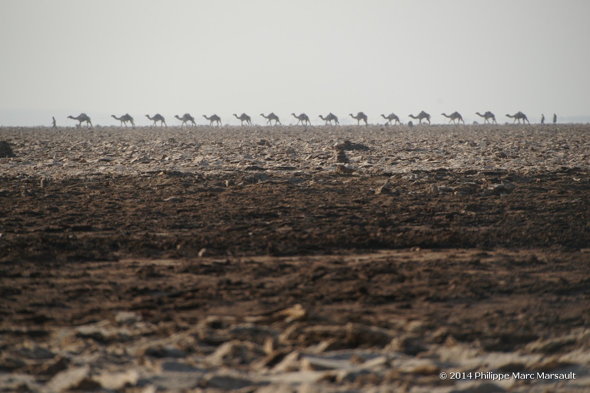 /ecran/Ethiopie_2014_0553.jpg