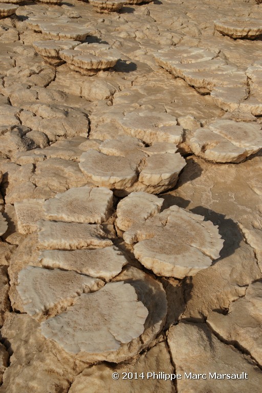 /ecran/Ethiopie_2014_0583.jpg