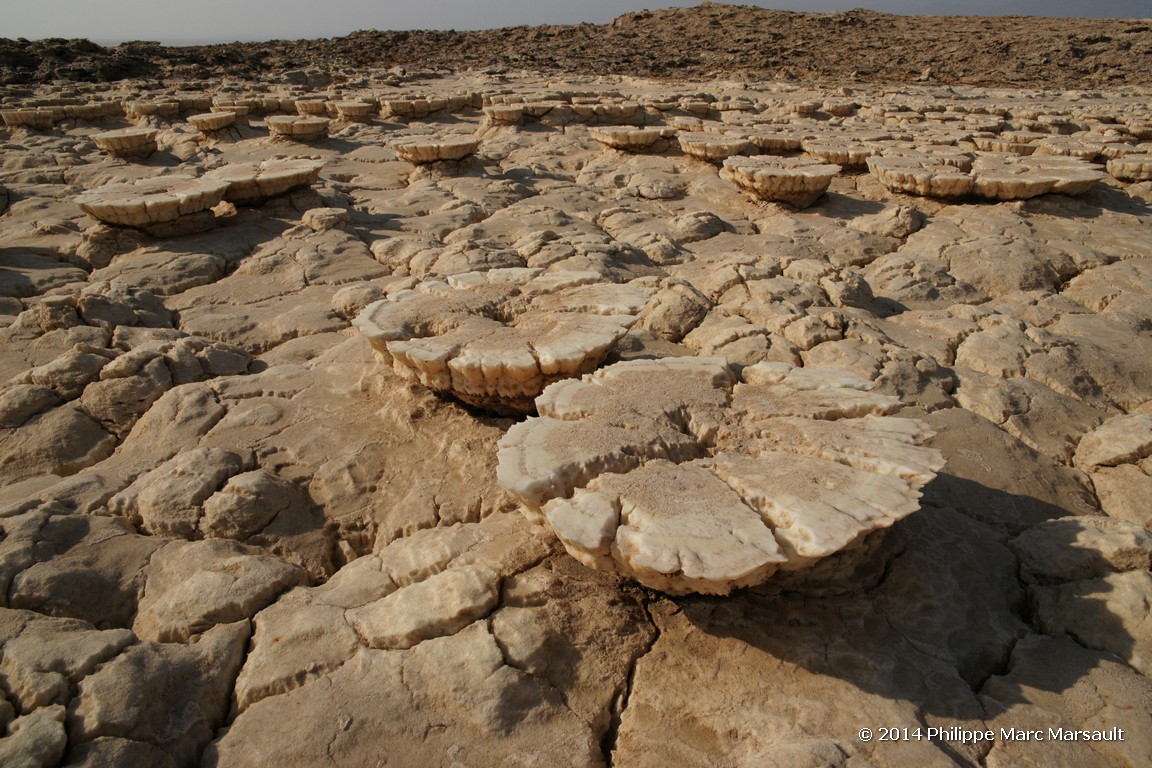 /ecran/Ethiopie_2014_0584.jpg