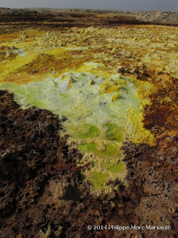 /ecran/Ethiopie_2014_0643.jpg