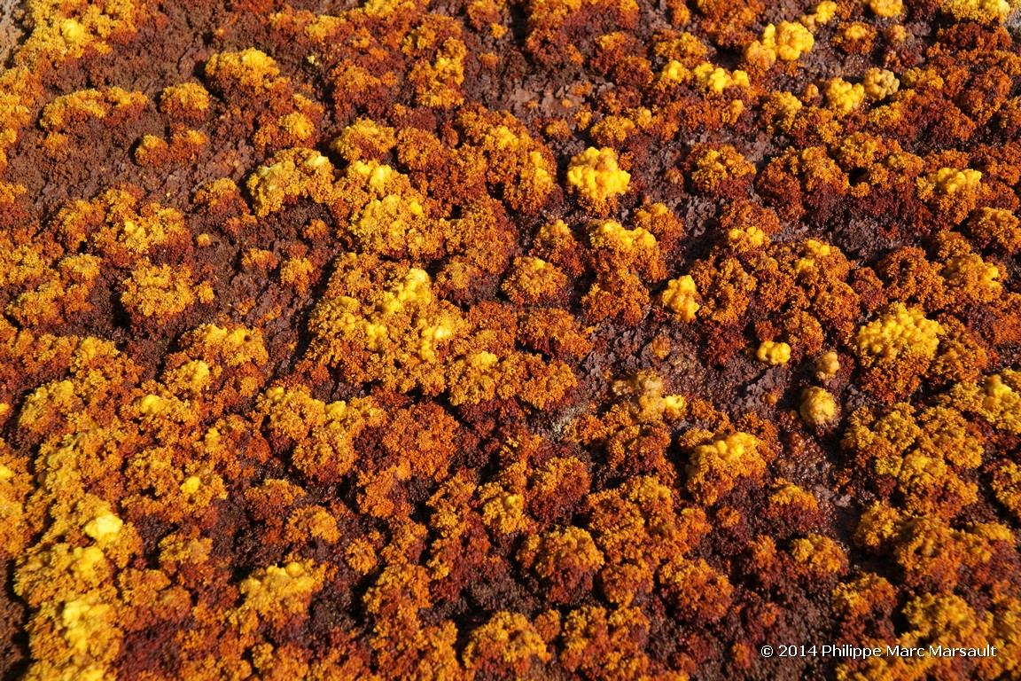 /ecran/Ethiopie_2014_0657.jpg