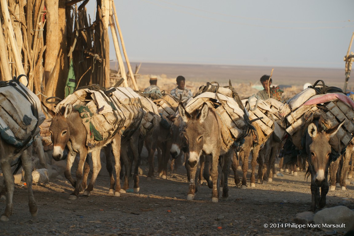 /ecran/Ethiopie_2014_0815.jpg