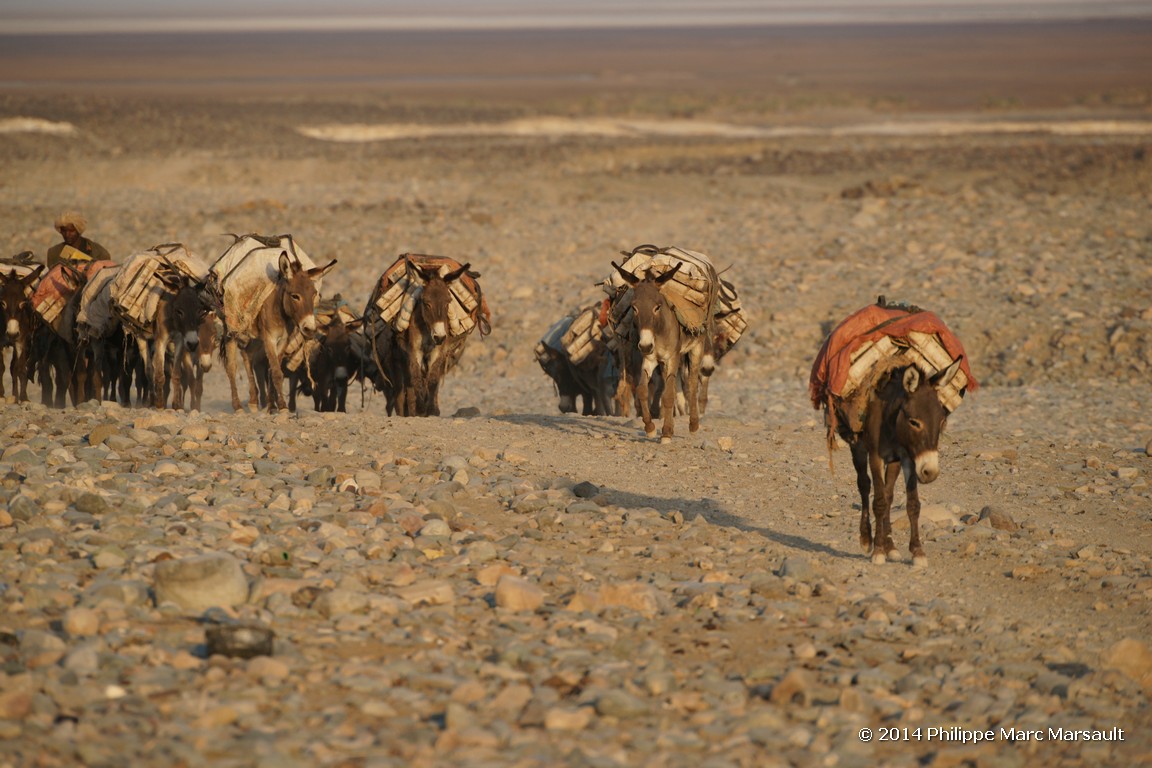 /ecran/Ethiopie_2014_0823.jpg