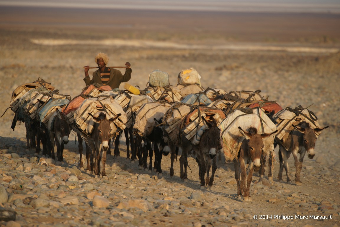 /ecran/Ethiopie_2014_0826.jpg