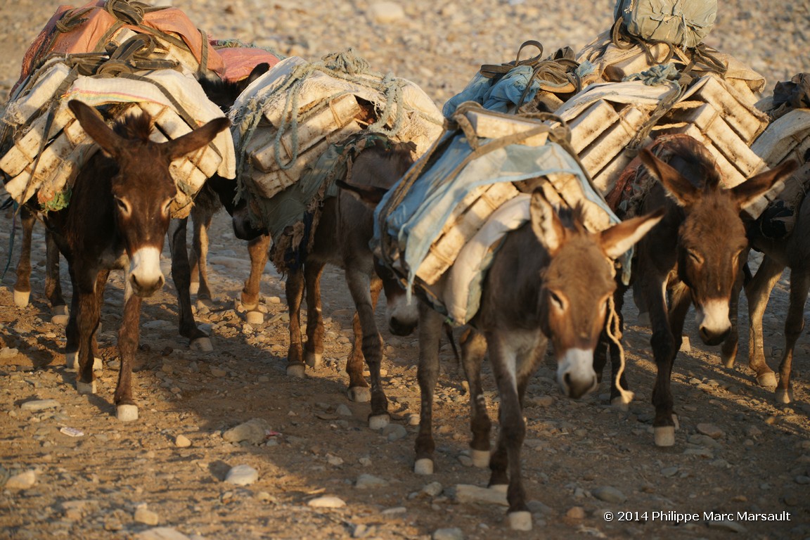 /ecran/Ethiopie_2014_0830.jpg