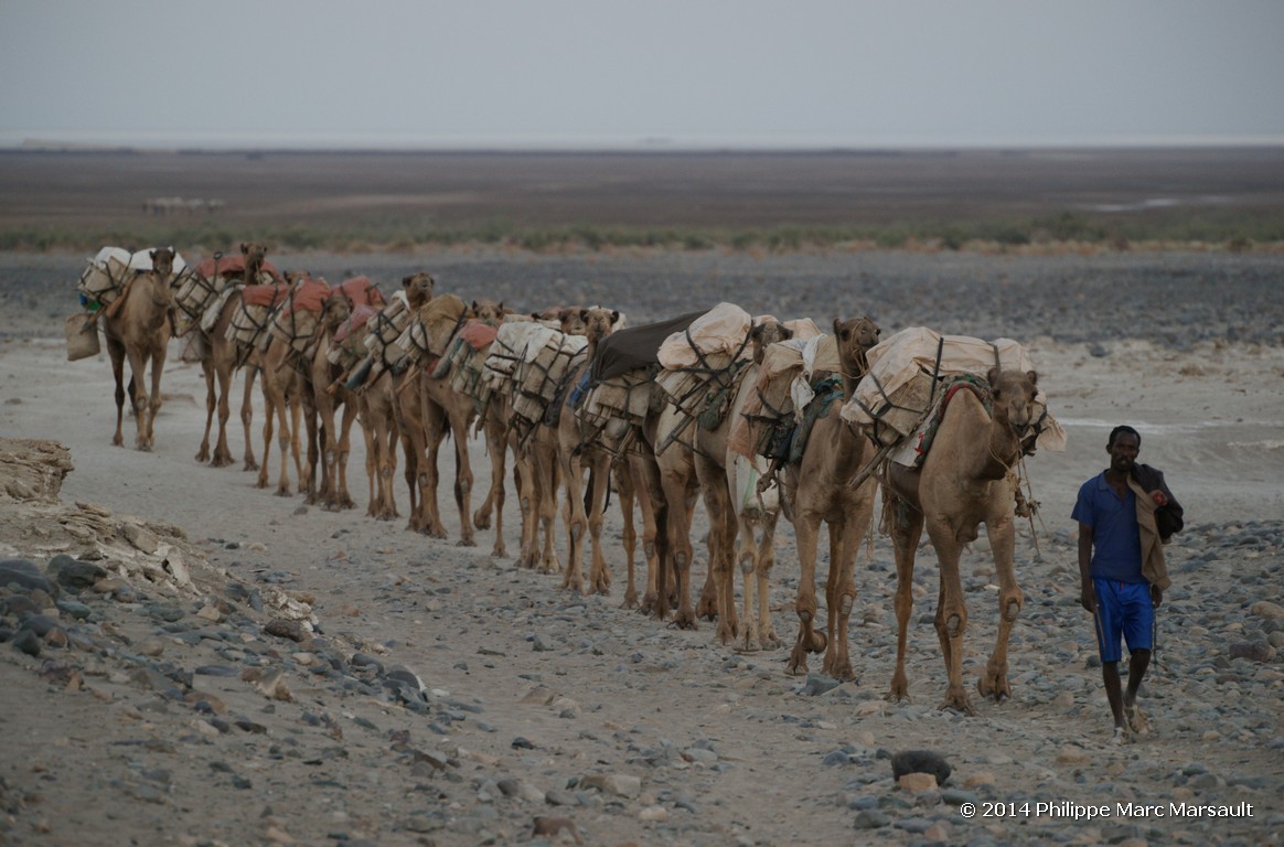 /ecran/Ethiopie_2014_0844.jpg