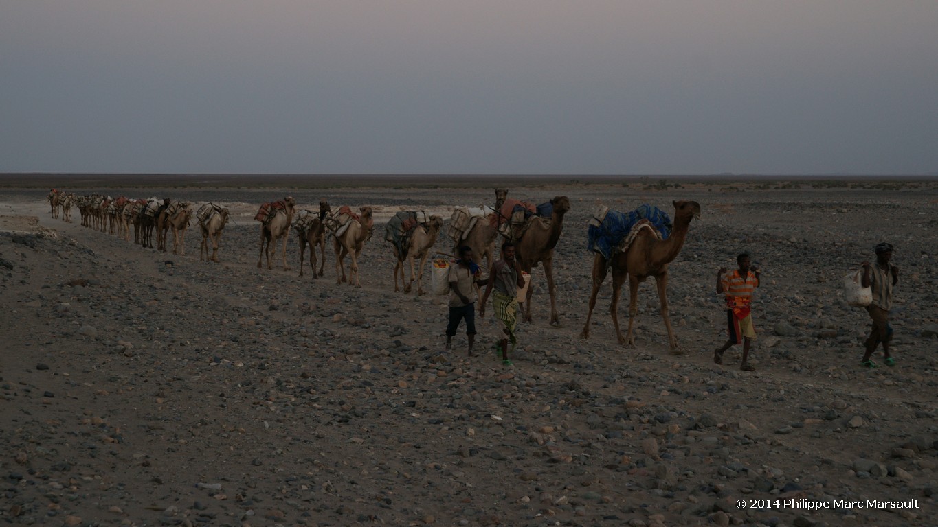 /ecran/Ethiopie_2014_0850.jpg