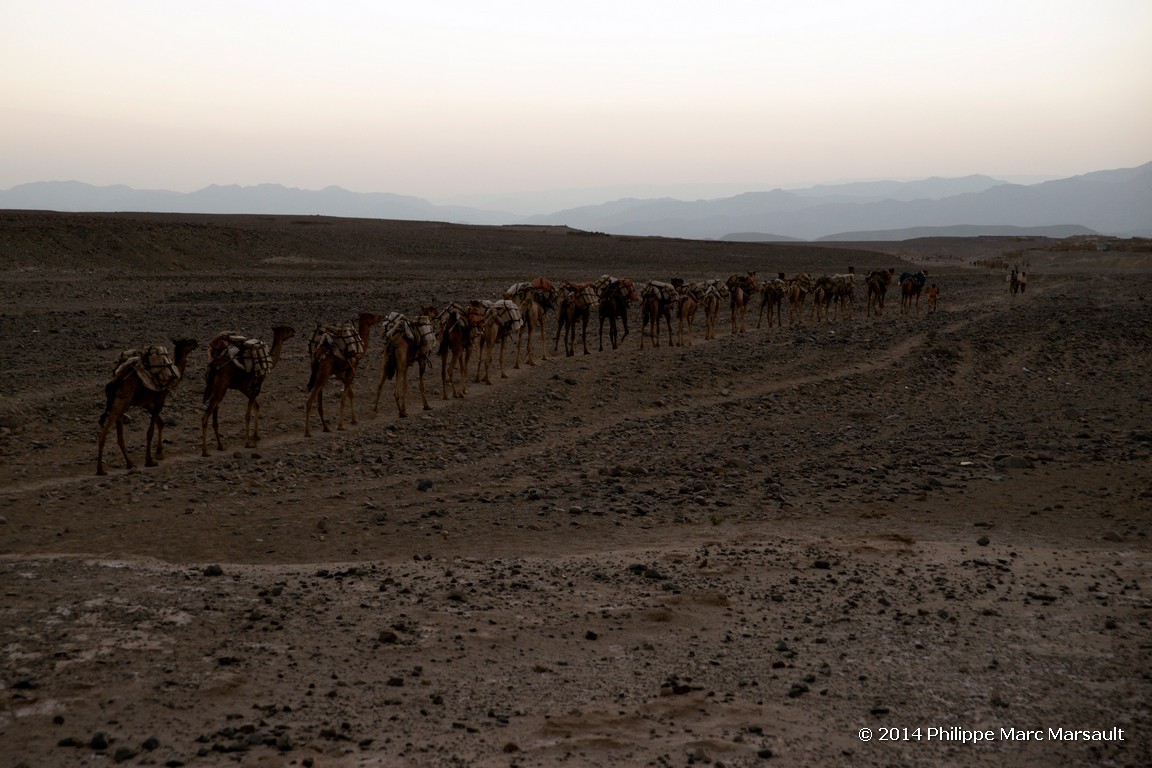 /ecran/Ethiopie_2014_0855.jpg