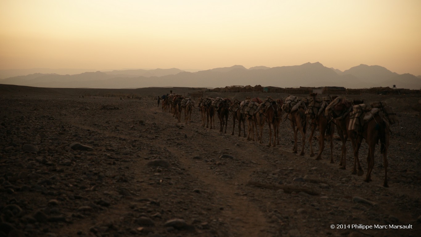 /ecran/Ethiopie_2014_0861.jpg
