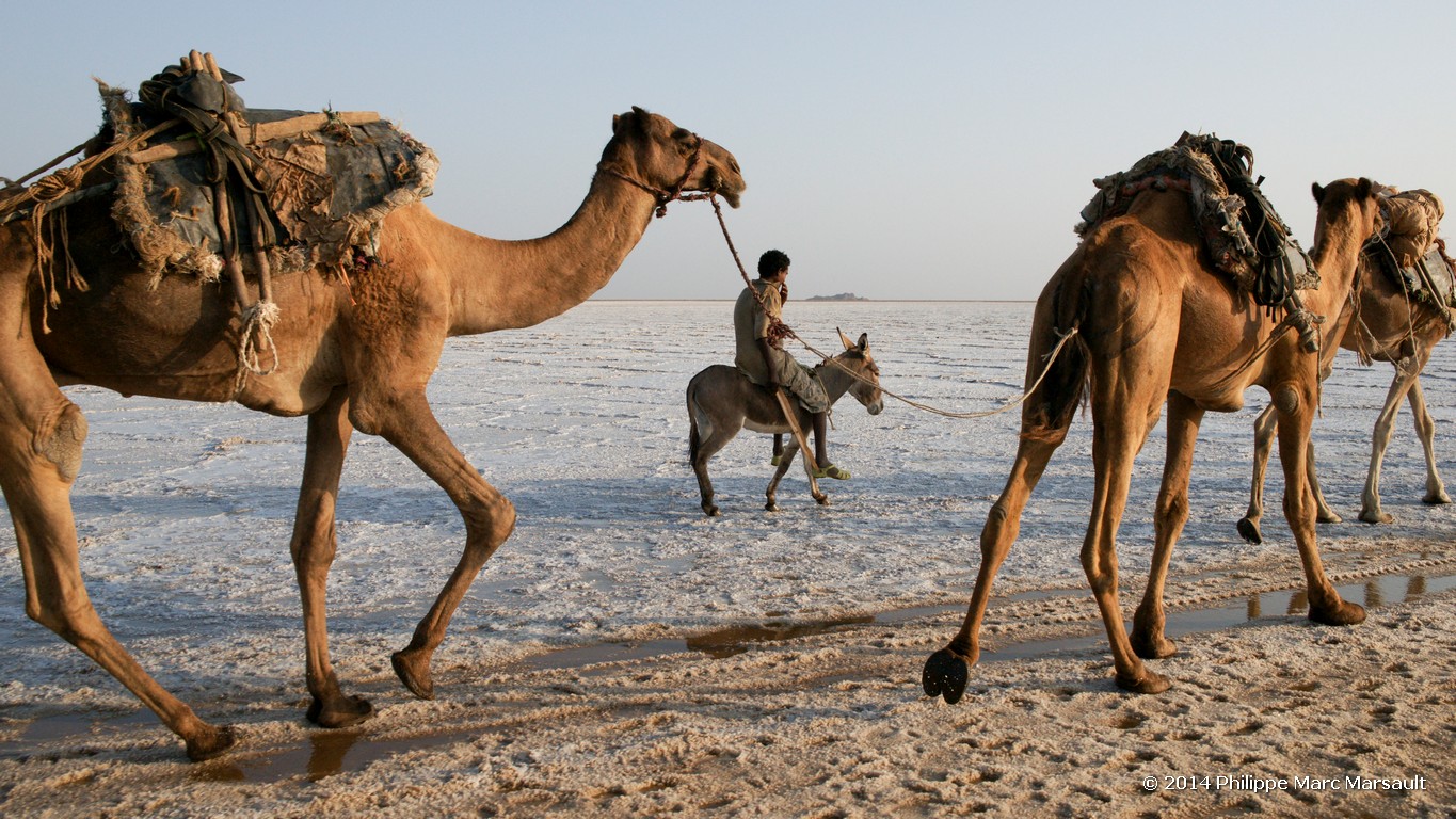 /ecran/Ethiopie_2014_0888.jpg