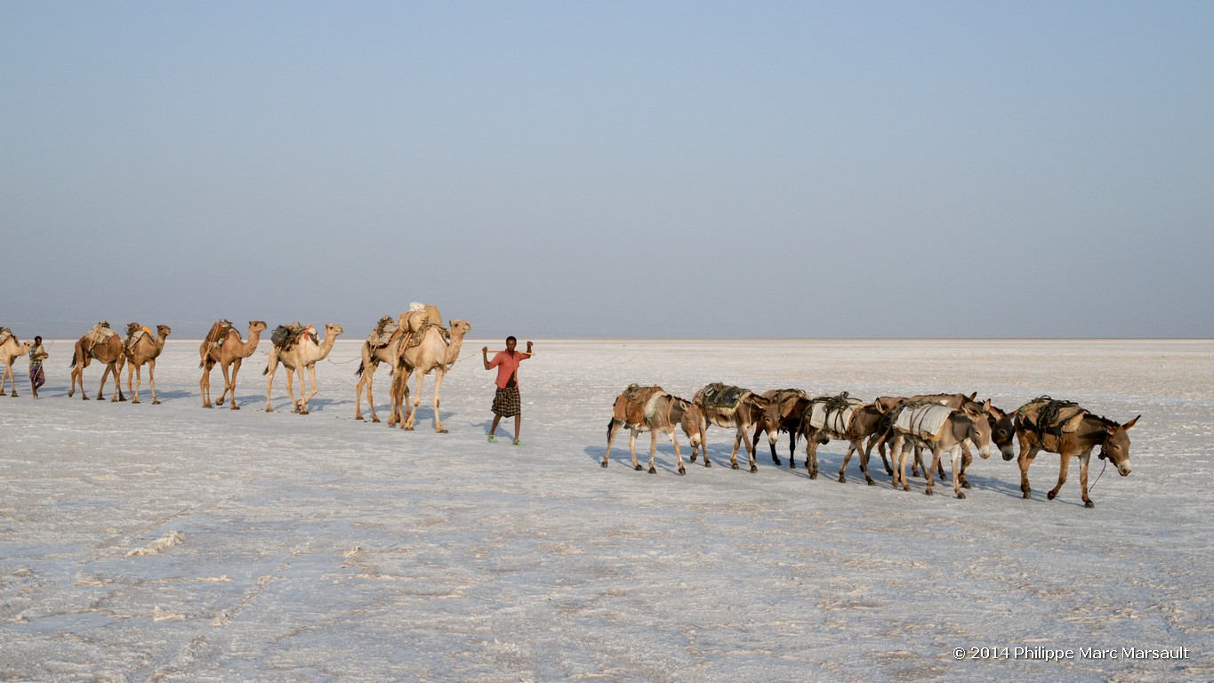 /ecran/Ethiopie_2014_0891.jpg