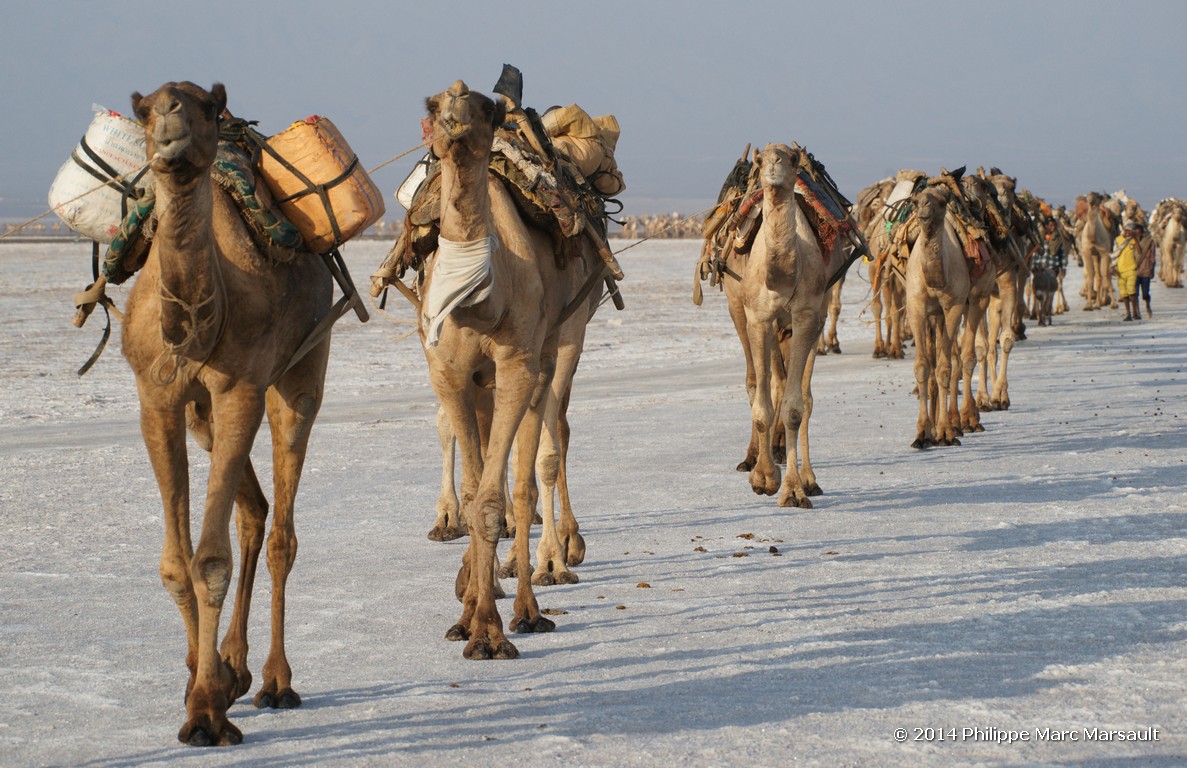 /ecran/Ethiopie_2014_0919.jpg