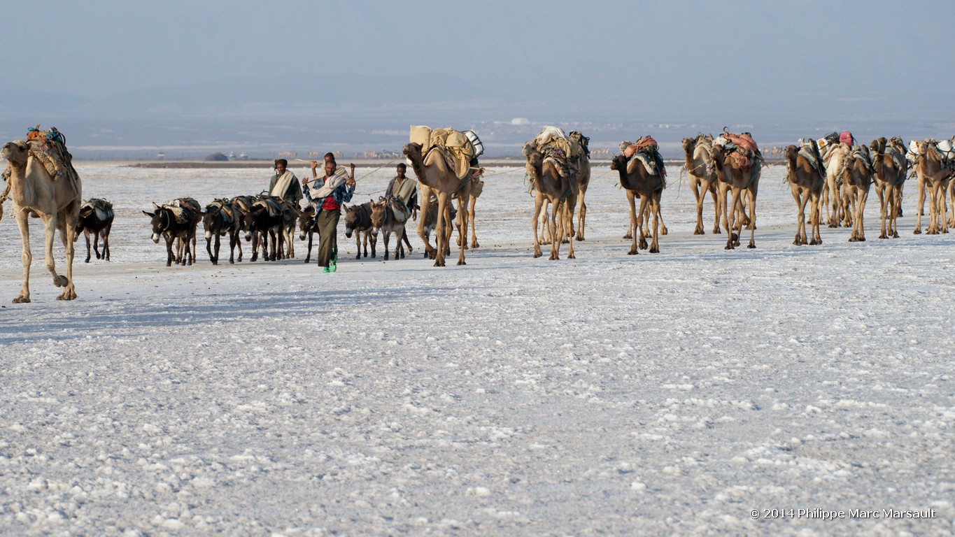 /ecran/Ethiopie_2014_0931.jpg