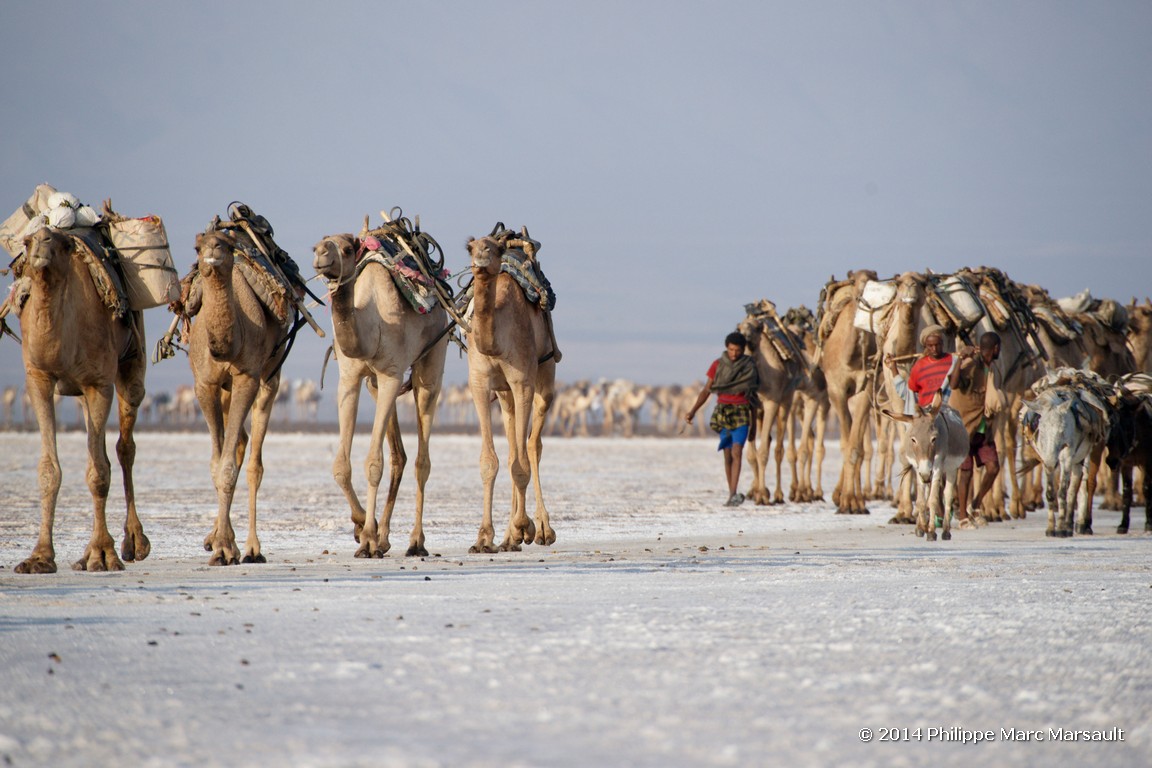 /ecran/Ethiopie_2014_0944.jpg