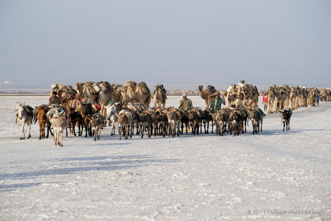 /ecran/Ethiopie_2014_0947.jpg