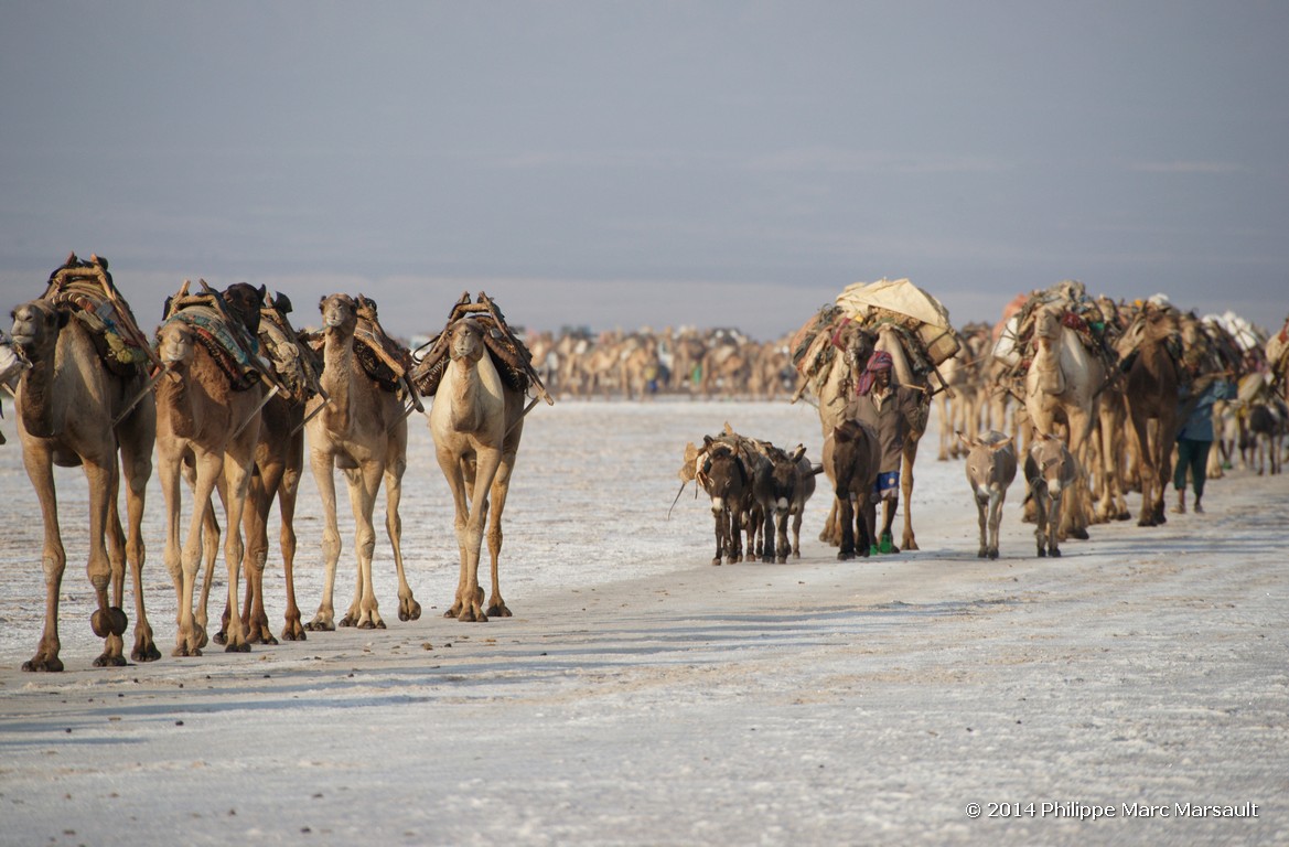 /ecran/Ethiopie_2014_0952.jpg