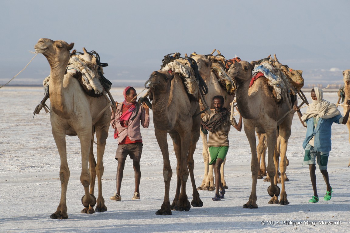 /ecran/Ethiopie_2014_0956.jpg