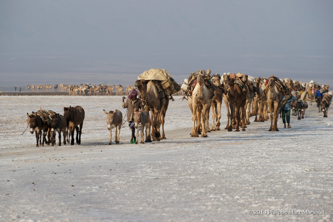 /ecran/Ethiopie_2014_0959.jpg