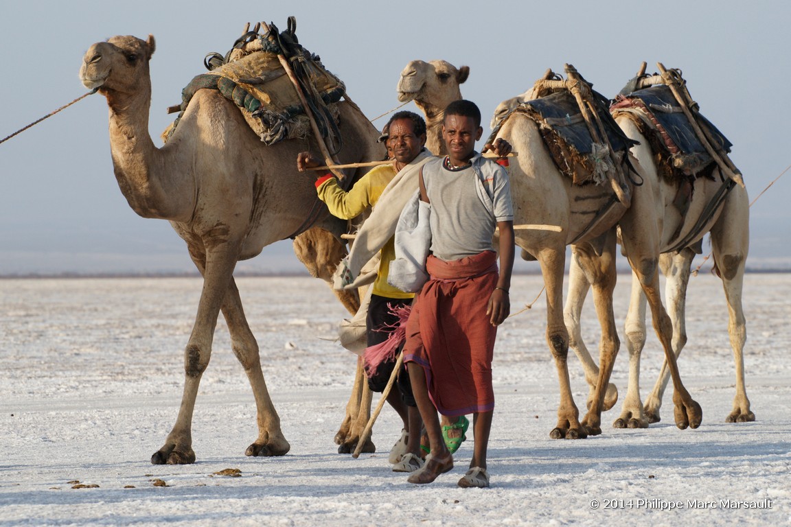 /ecran/Ethiopie_2014_0970.jpg